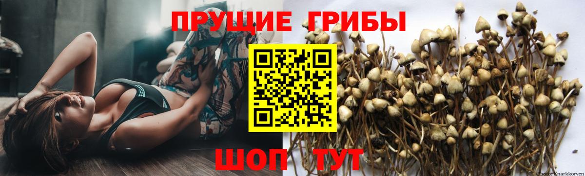 Псилоцибиновые грибы ЛСД  Галлюциногенные грибы прущие грибы  Вход с VPN  Зерноград 