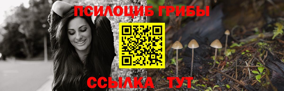 Псилоцибиновые грибы прущие грибы Зерноград